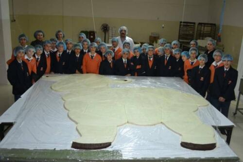 10998075 671528266303841 3155532990654651919 o