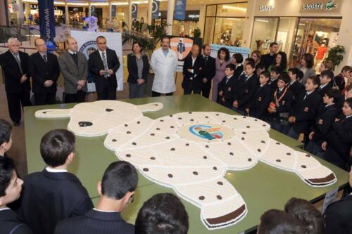 1622470 668644886592179 7801228457722154332 o (1)