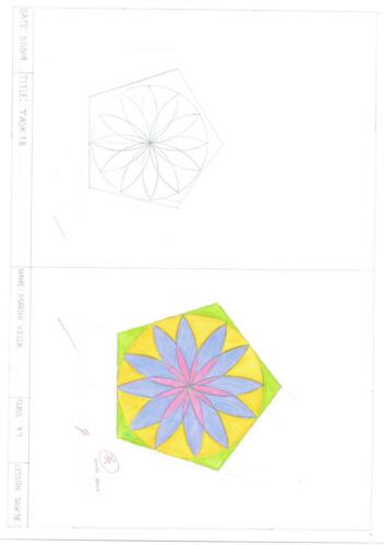 pictures using polygons-11 (1)